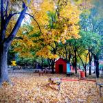 Vízivárosi Tagóvoda